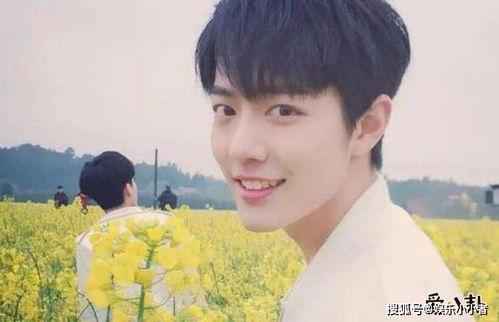 娱乐圈吃瓜合集博君一肖,娱乐圈的甜蜜瓜田，甜蜜蜜的瓜事盘点