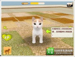 娱乐吃瓜君罗小猫