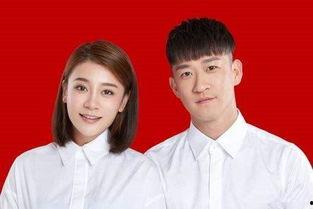 中国娱乐圈吃瓜明星小说,揭秘吃瓜明星背后的故事
